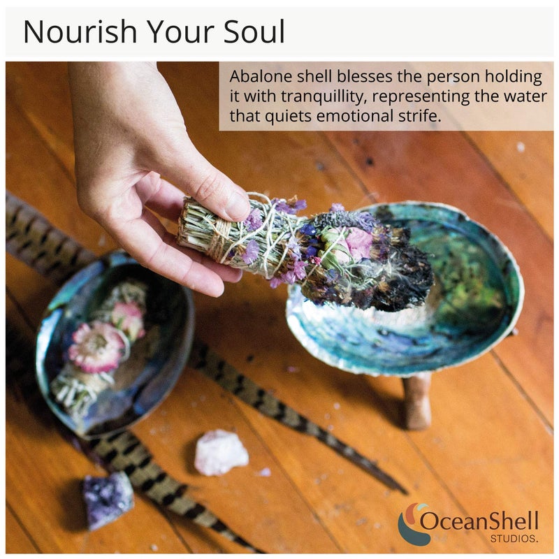 Ocean Shell Studios. Natural Abalone (PÄua) Shell, with Stand,6-6.5 Inches,Supreme for Smudging,Cleansing Home,Meditation,Shell Crafts,Incense Holder,100% Natural, Sustainably Sourced by Ocean Shell Studios NZ - Image 4